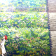 Illustration for article titled The 12 Anime of Winter 2016 You Should Be Watching